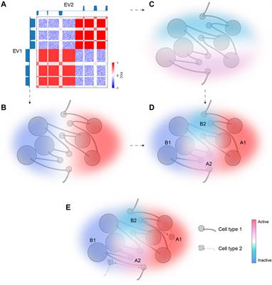 Extensive Chromatin Structure-Function Associations Revealed by Accurate 3D Compartmentalization Characterization